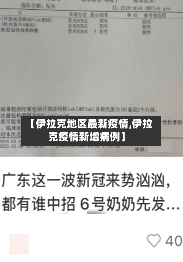 【伊拉克地区最新疫情,伊拉克疫情新增病例】-第2张图片