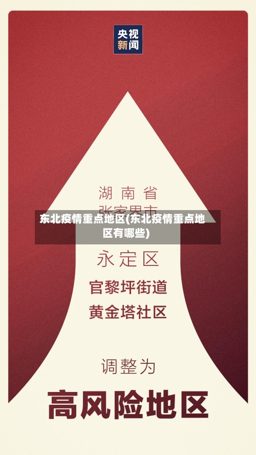 东北疫情重点地区(东北疫情重点地区有哪些)-第2张图片