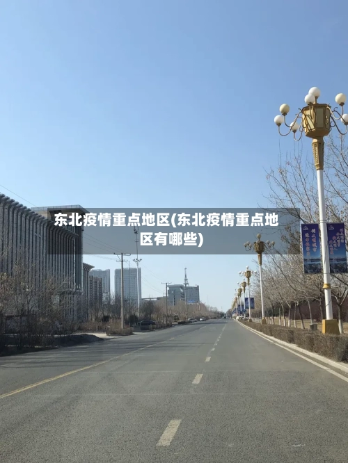 东北疫情重点地区(东北疫情重点地区有哪些)-第3张图片