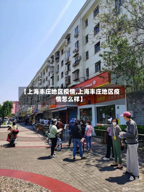 【上海丰庄地区疫情,上海丰庄地区疫情怎么样】-第3张图片