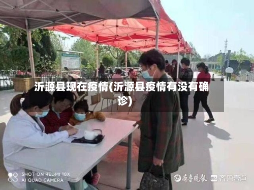 沂源县现在疫情(沂源县疫情有没有确诊)-第2张图片