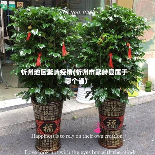 忻州地区繁峙疫情(忻州市繁峙县属于哪个省)-第1张图片