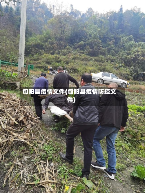 旬阳县疫情文件(旬阳县疫情防控文件)-第2张图片