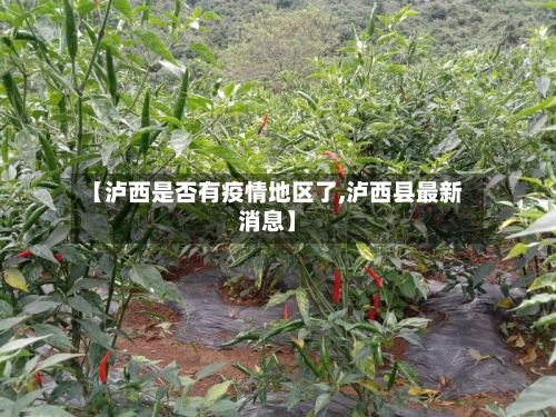 【泸西是否有疫情地区了,泸西县最新消息】-第1张图片