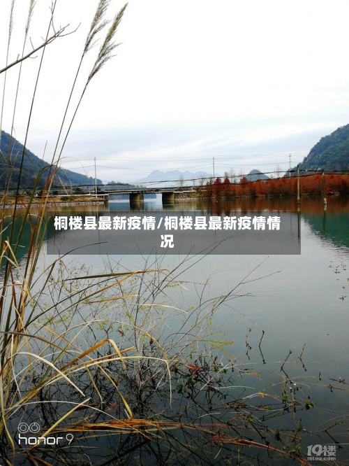 桐楼县最新疫情/桐楼县最新疫情情况-第2张图片