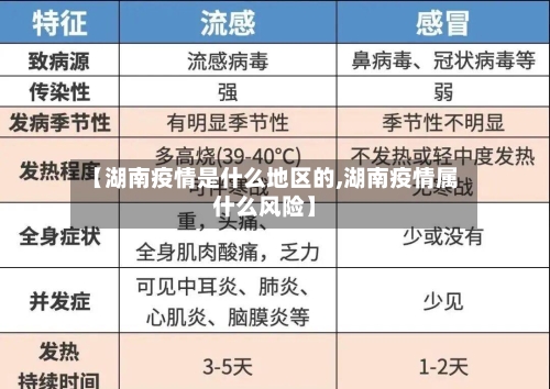 【湖南疫情是什么地区的,湖南疫情属什么风险】-第2张图片