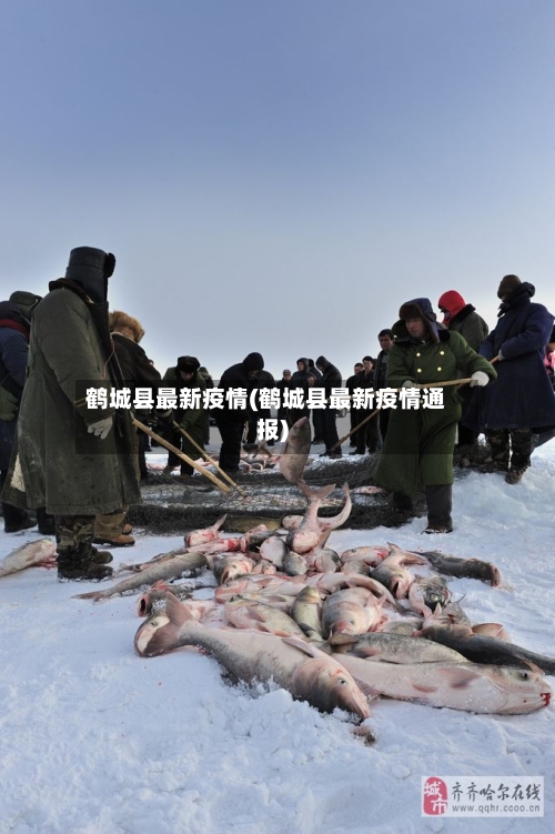 鹤城县最新疫情(鹤城县最新疫情通报)-第2张图片