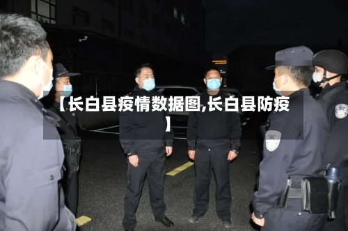 【长白县疫情数据图,长白县防疫】-第2张图片