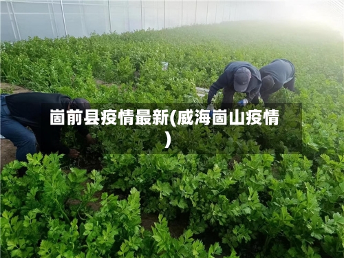 崮前县疫情最新(威海崮山疫情)-第1张图片