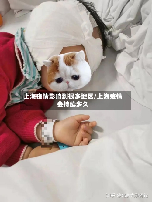 上海疫情影响到很多地区/上海疫情会持续多久-第2张图片
