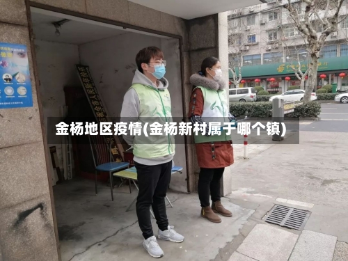 金杨地区疫情(金杨新村属于哪个镇)-第1张图片