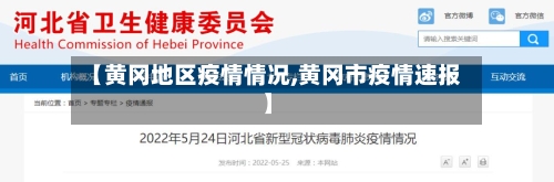 【黄冈地区疫情情况,黄冈市疫情速报】-第2张图片