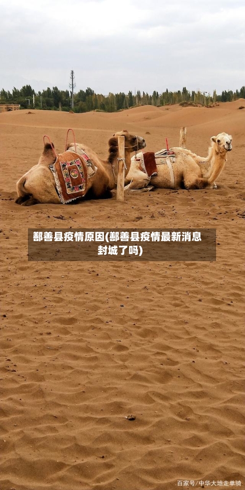 鄯善县疫情原因(鄯善县疫情最新消息封城了吗)-第1张图片