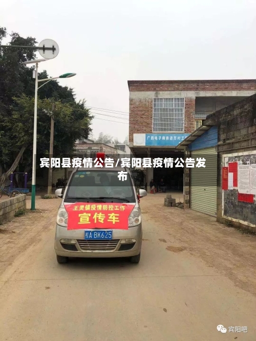 宾阳县疫情公告/宾阳县疫情公告发布-第3张图片