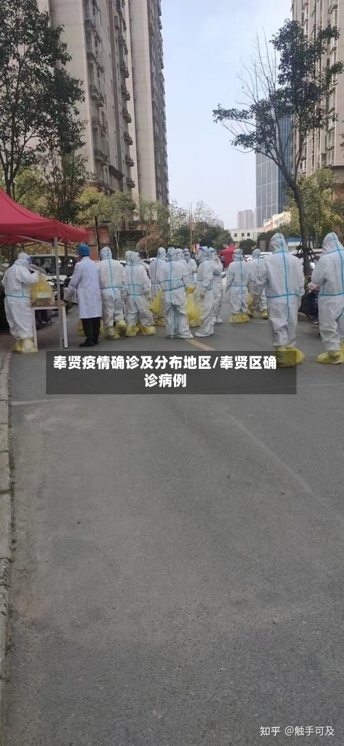 奉贤疫情确诊及分布地区/奉贤区确诊病例-第2张图片