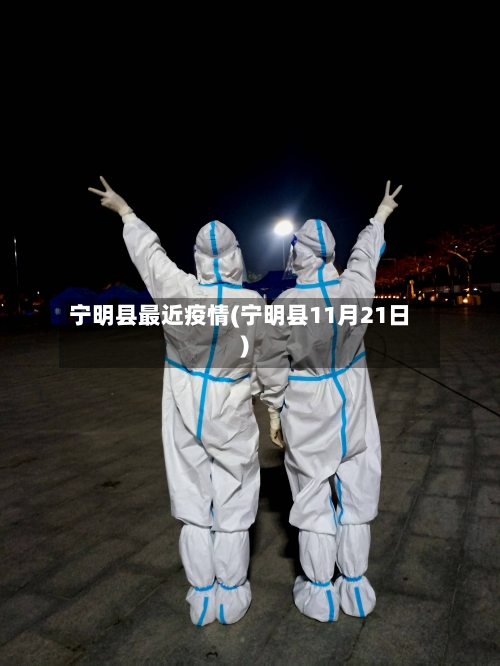 宁明县最近疫情(宁明县11月21日)-第2张图片