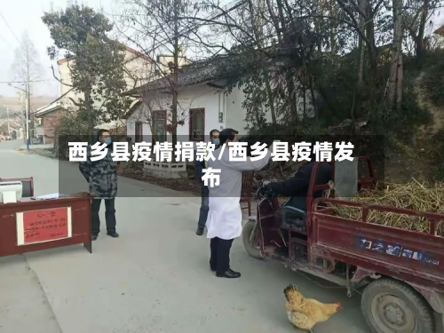 西乡县疫情捐款/西乡县疫情发布-第1张图片